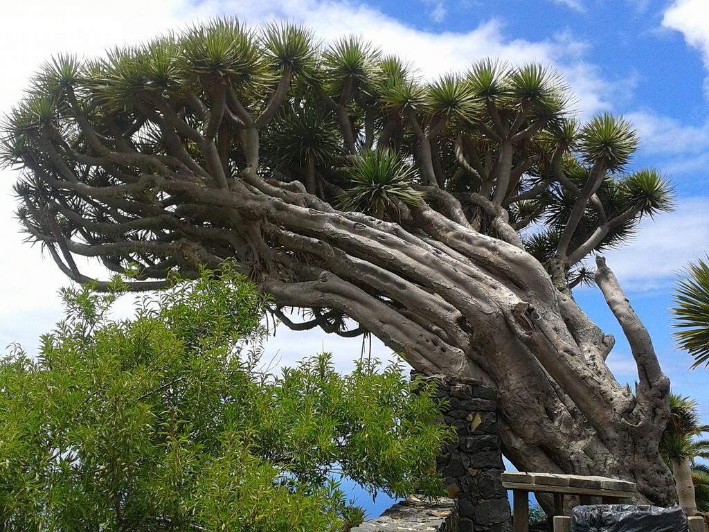 La Palmerita Vacacional Los Llanos De Aridane Exteriör bild