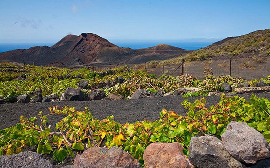La Palmerita Vacacional Los Llanos De Aridane Exteriör bild