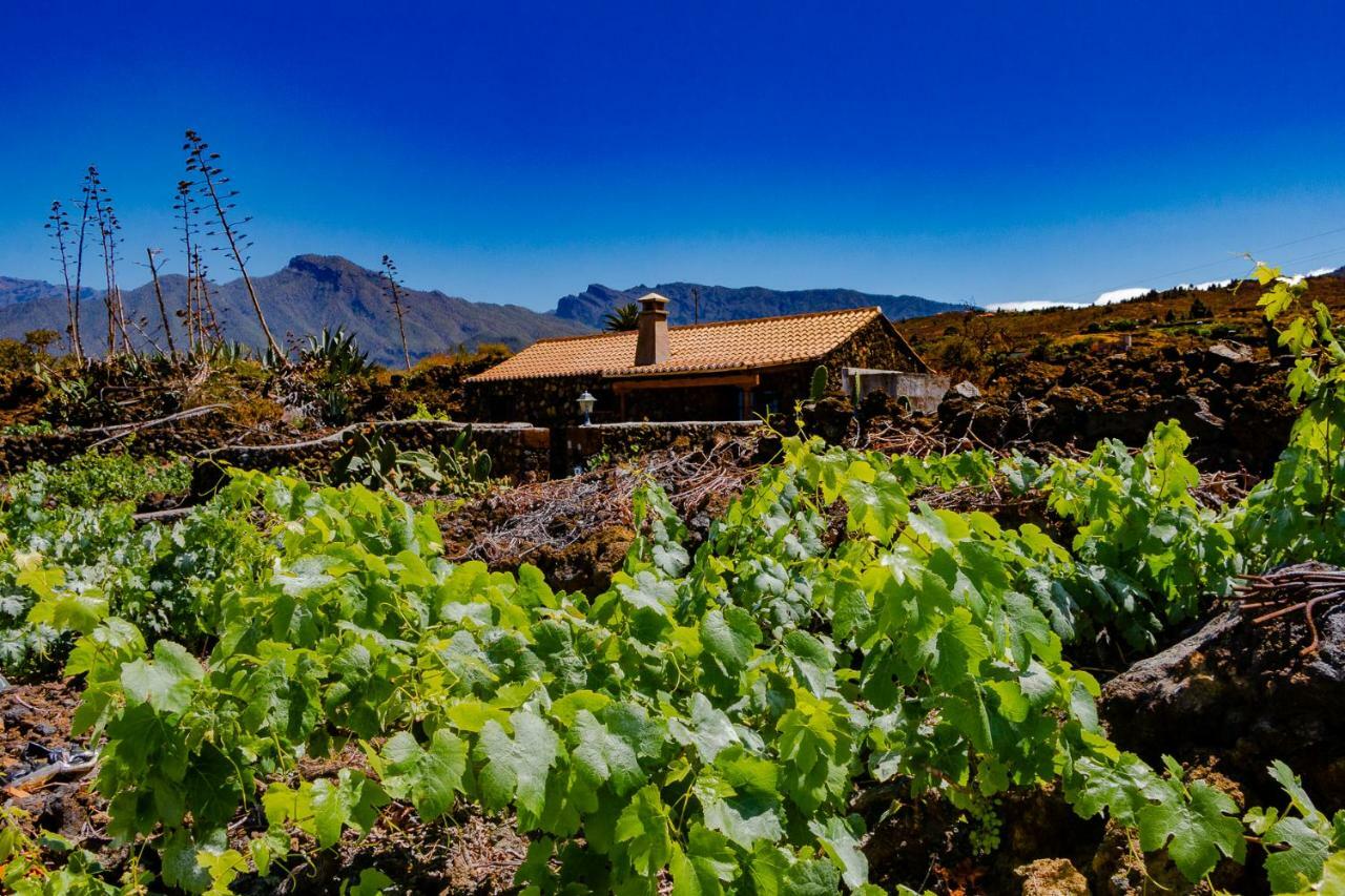 La Palmerita Vacacional Los Llanos De Aridane Exteriör bild